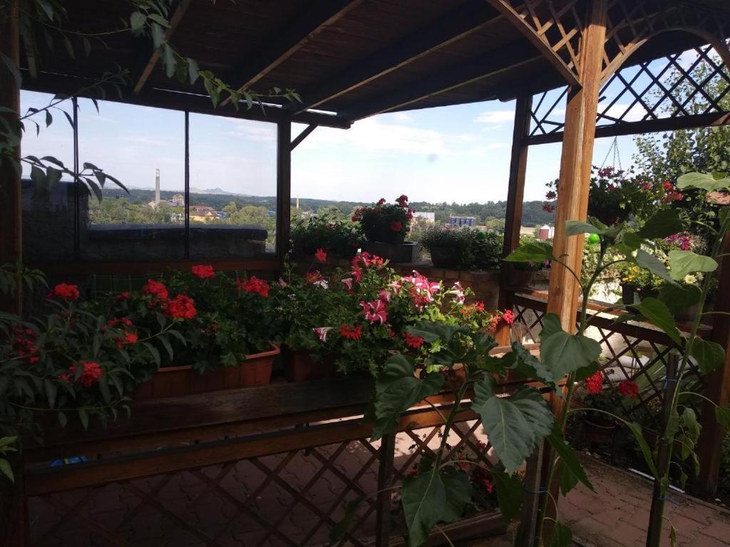 Apartmany Zatec Zewnętrze zdjęcie